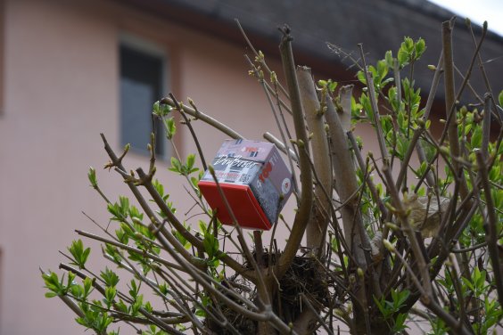  Würfel aus dem Nest (Bildquelle: Don Bosco Schülerheim Klagenfurt)